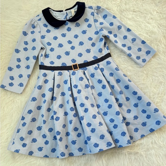 Janie and Jack Other - Janie and Jack Beautiful Blue Floral Dress